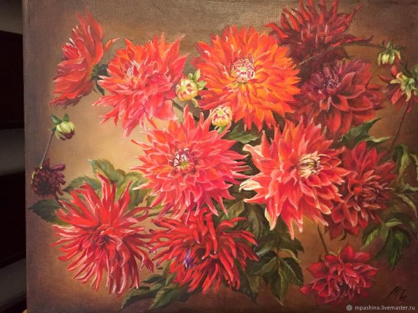 Олег Тимошин георгины