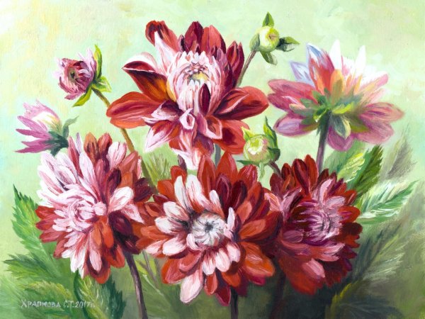 Поздеев георгины