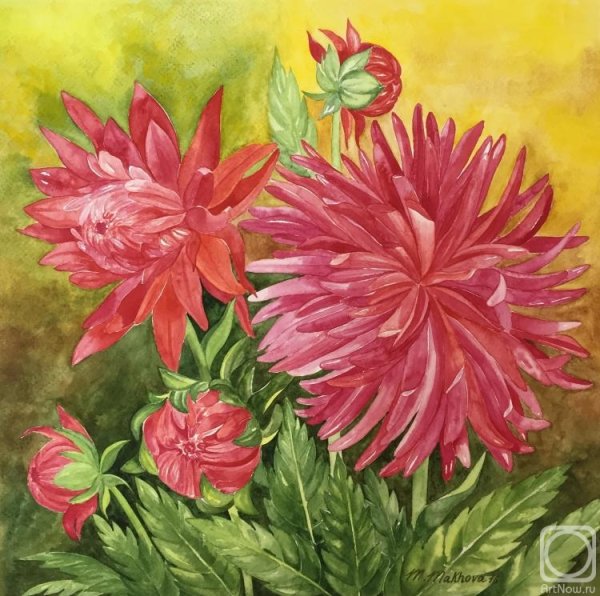 Георгины пастелью