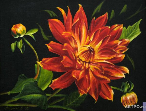 Георгины акварелью Ольга Базанова