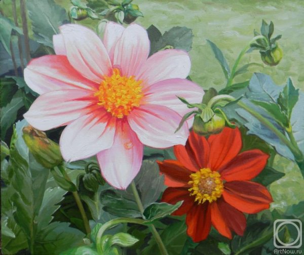 Картина георгины