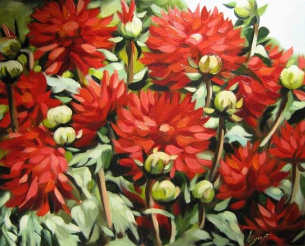 Кругликова георгины