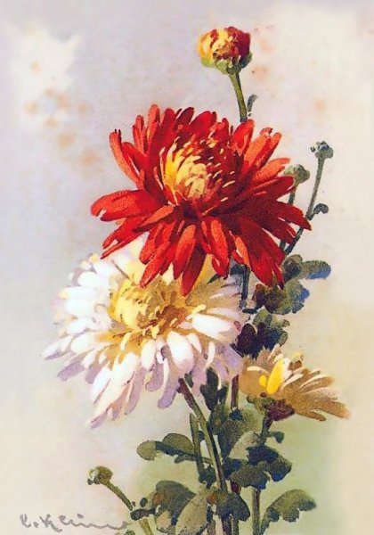 Катарина Кляйн акварель хризантемы