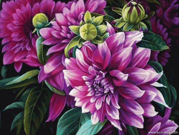 Георгин цветок арт