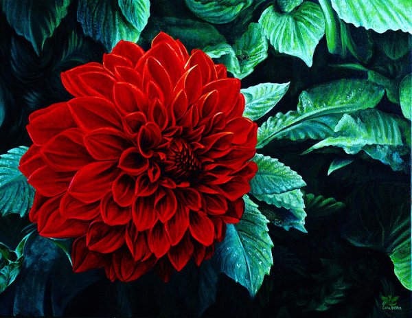 Художник cara Bevan Dahlia