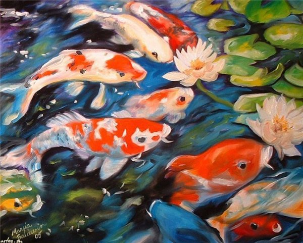 Michael Creese карпы