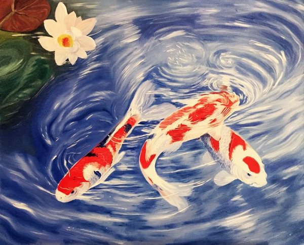 Тимоти Паркер карпы кои