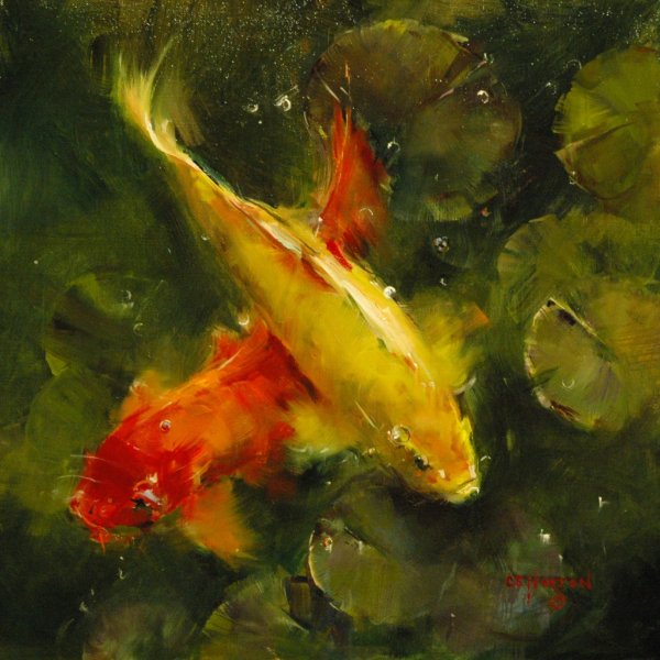 Михаил Бровкин карпы кои