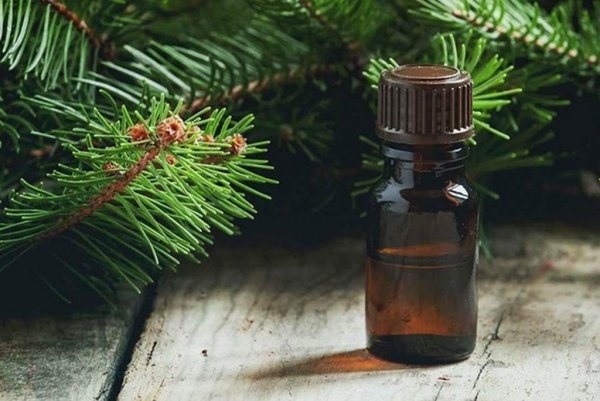 Еловое эфирное масло