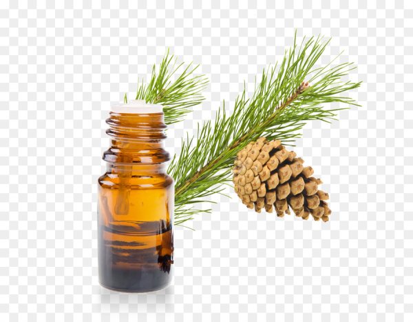 Эфирное масло сосны