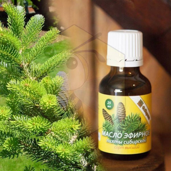 Пихта Сибирская камфора