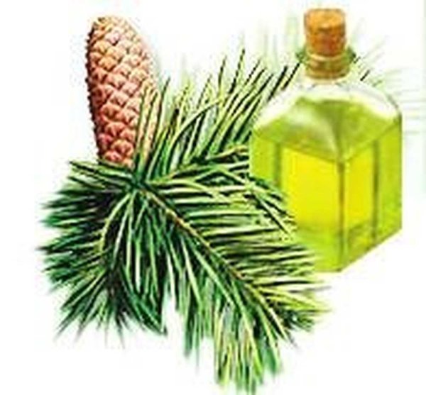 Эфирное масло из смолы сосны