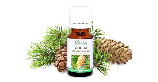 Primavera эфирное масло сосна Кедровая био