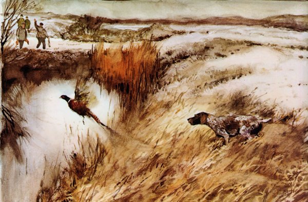 Охотничья тематика