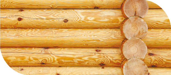 Бревенчатая стена лиственница