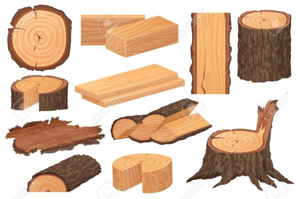 Срез бревна вектор