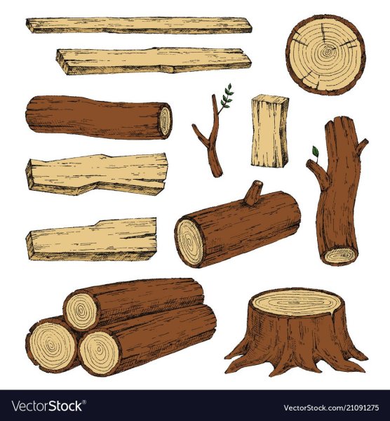 Срез дерева вектор