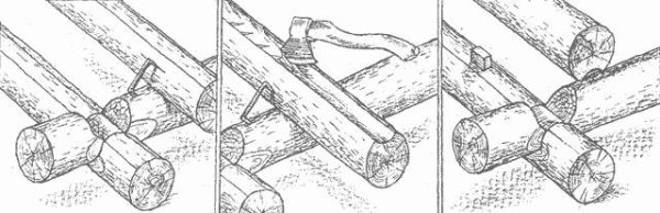 Текстура древесины рисунок