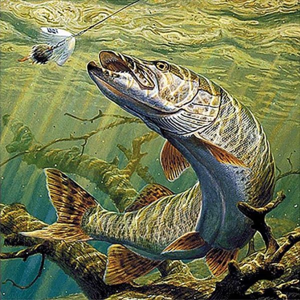 Речные монстры щука маскинонг