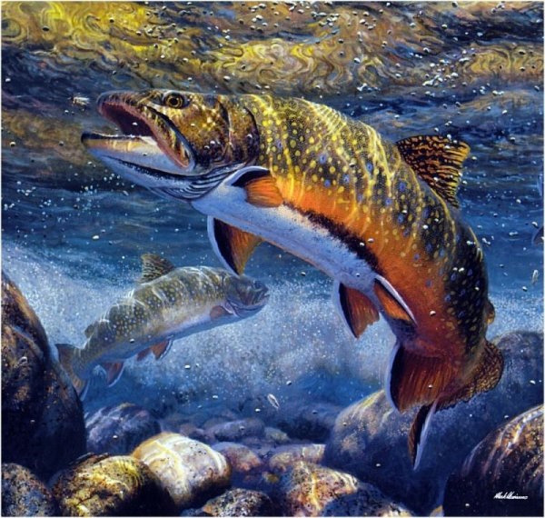 Марк Сузино (Mark Susinno)