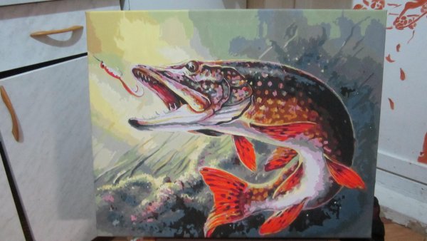 Щука красками