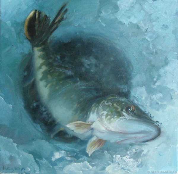 Щука картина