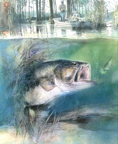 Окунь живопись