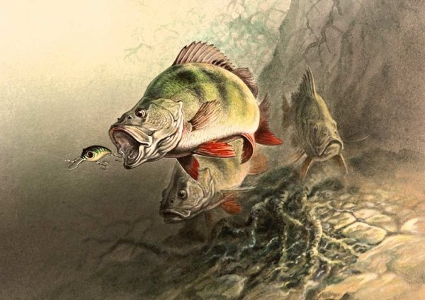 Дегтев Александр Александрович - художник-иллюстратор