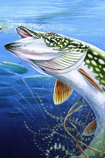 Рыба счастья