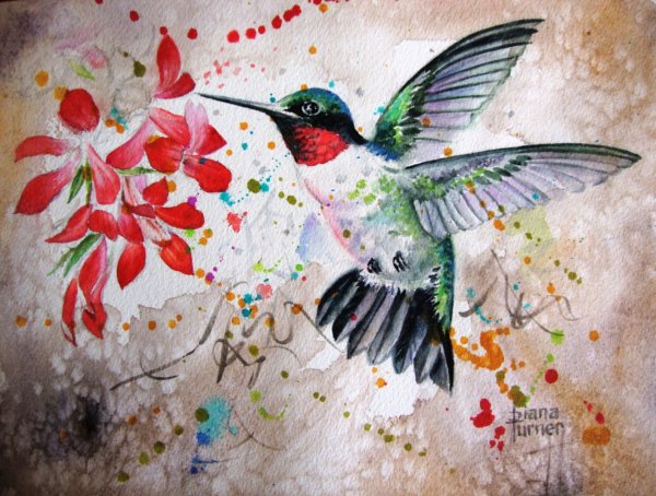 Колибри маслом на холсте