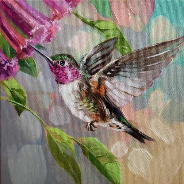 Болотов художник Колибри