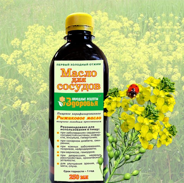 Рыжиковое масло растение