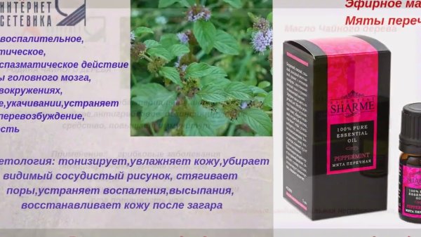 Greenway эфирные масла описание