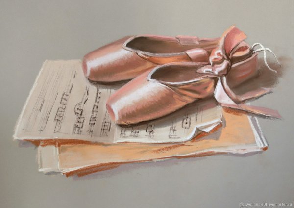 Пачка и пуанты