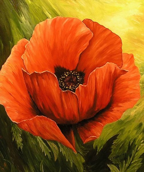 Мэри Дипнолл картины маки