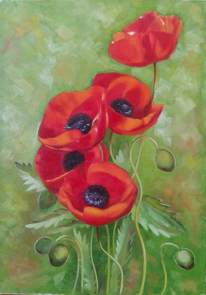 Маки живопись маслом