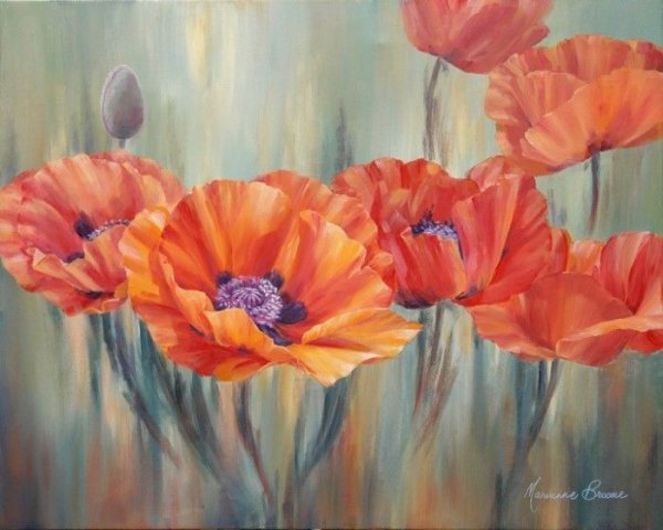 Пионы Marianne Broome