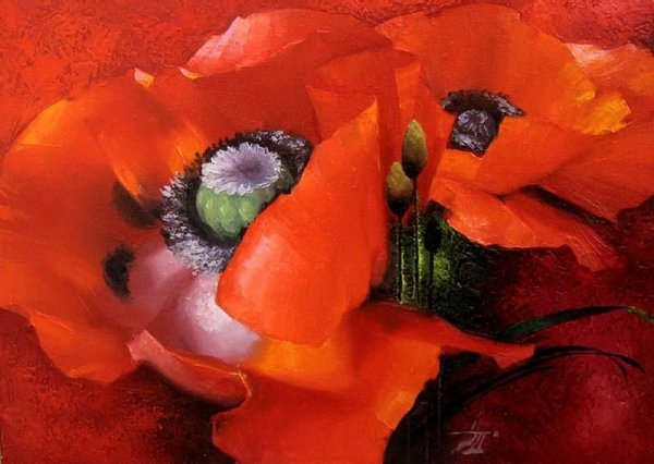 Красные маки живопись