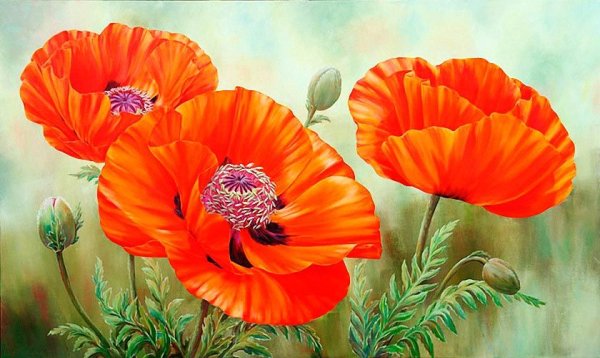 Marianne Broome маки