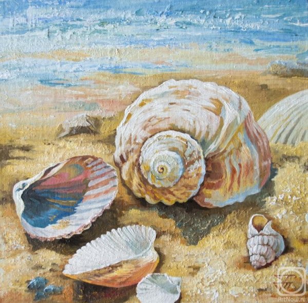 Морские раковины в живописи