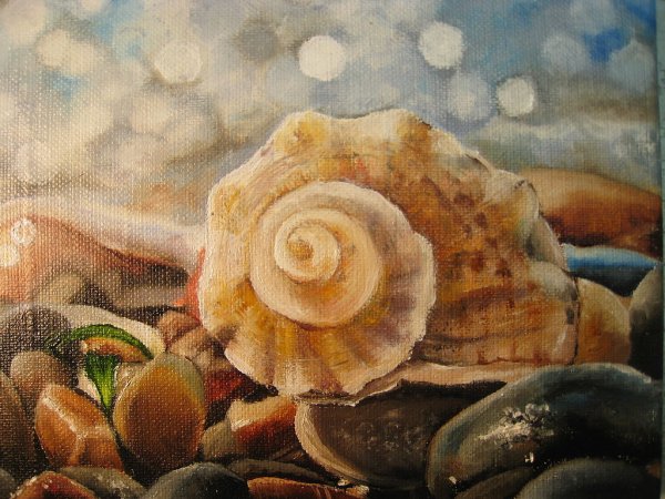 Тигровый Рапан