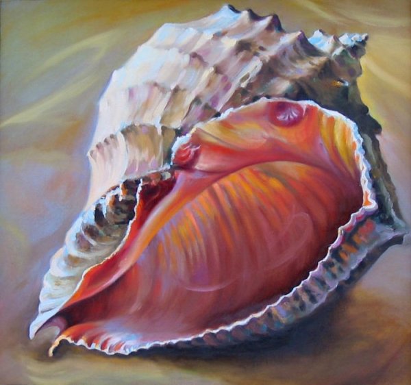 Море Ракушка живопись