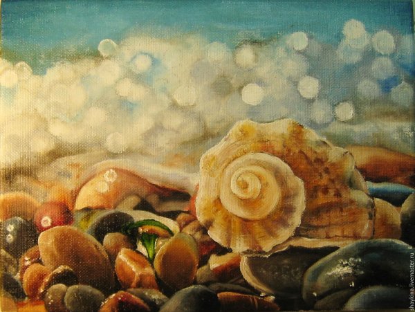Морские раковины в живописи