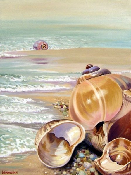 Ракушка маслом на холсте
