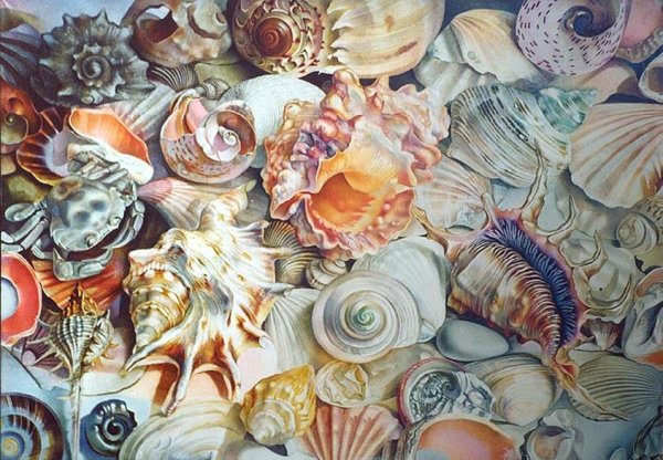 Морская раковина акварель