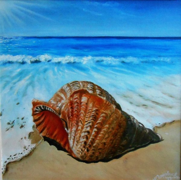 Море ракушки акварель