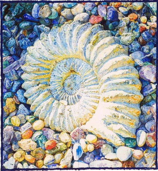 Раковина Conch Shell