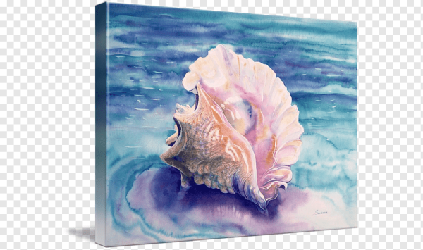 Ракушки в живописи