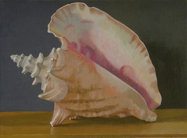 Постер "ракушки"
