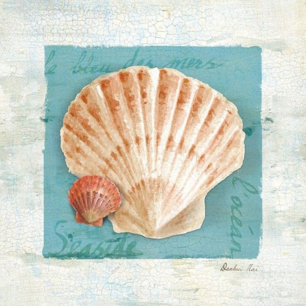 Ракушка маслом